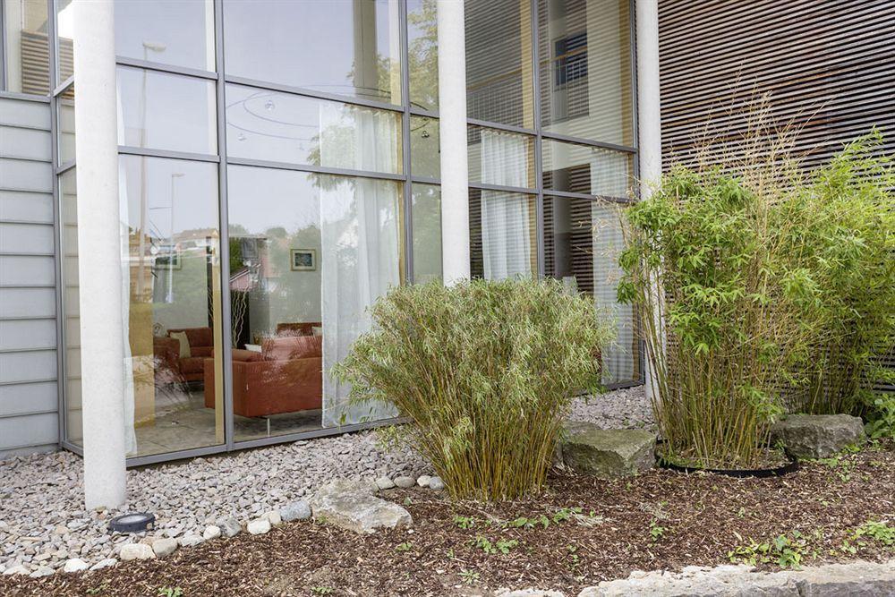 Hotel & Restaurant Die Linde Wangen  Exterior photo